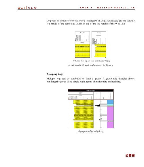 WellCAD Basics - Advanced Logic Technology