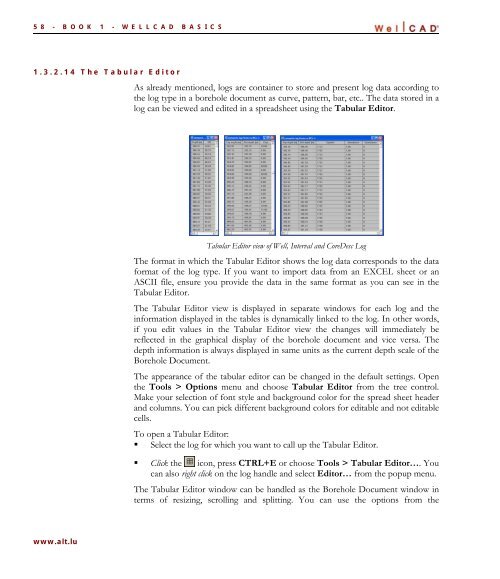 WellCAD Basics - Advanced Logic Technology