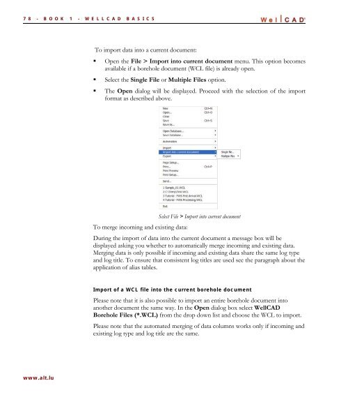 WellCAD Basics - Advanced Logic Technology