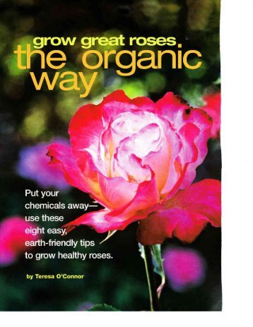 Grow Great Roses: The Organic Way (PDF) - Seasonal Wisdom