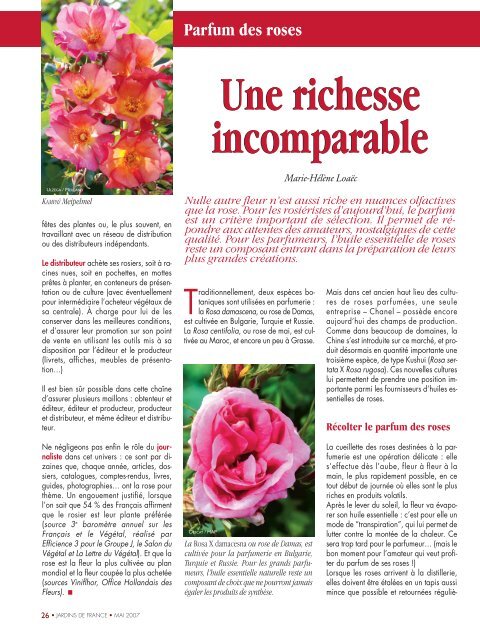 WWF (R) Dorsexy, rosier de François Dorieux, édité ... - Je Jardine.org