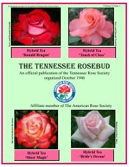 Hybrid Tea - Tennessee Rose Society