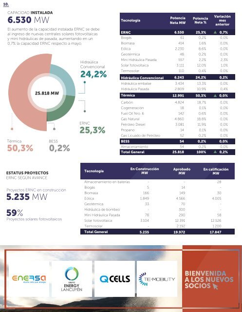 Newsletter ACERA - Junio 2020