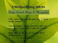 Manipulating leaves - Timbali