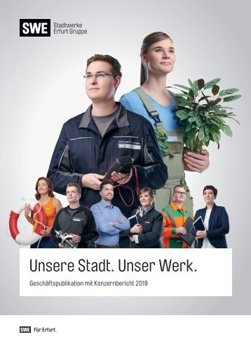 SWE Geschäftspublikation 2019