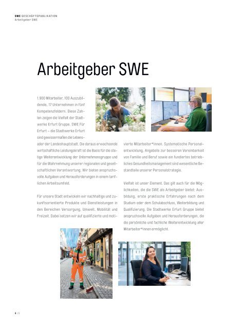 SWE Geschäftspublikation 2019