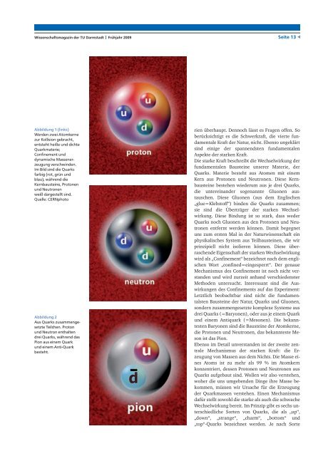 forschen 1/2009 - Forschungscluster «Nuclear and Radiation Science