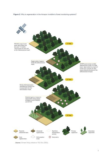 Brazil Needs to Monitor its Tropical Regeneration