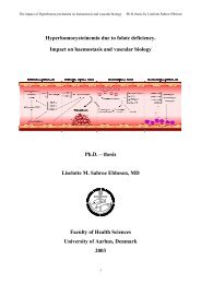 thesis Liselotte M. Sabroe Ebbesen, MD Faculty of Health Sciences ...