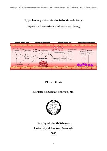 Surgery thesis