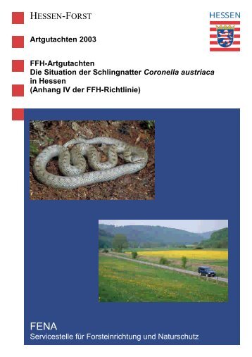 und Reptilienschutz in Hessen eV (AGAR), Rodenbach 2003