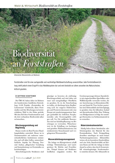 Waldverband Aktuell - Ausgabe 2020-03