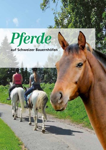 Pferde auf Schweizer Bauernhöfen
