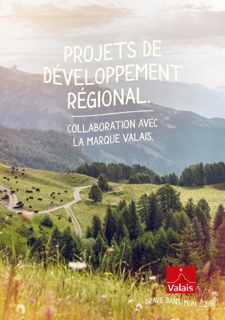 Projet de développement régional