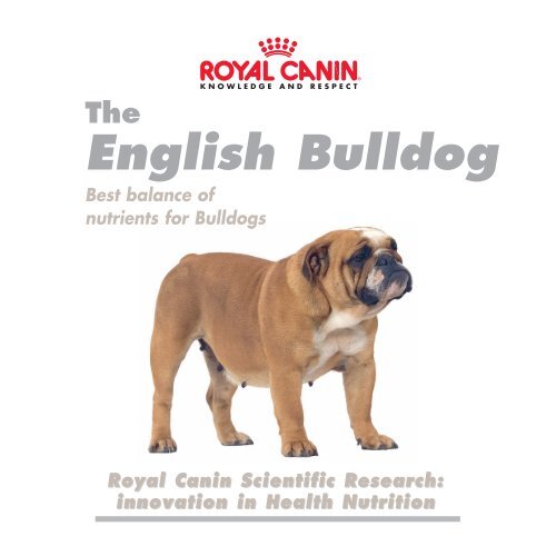 royal canin ht42d small dog