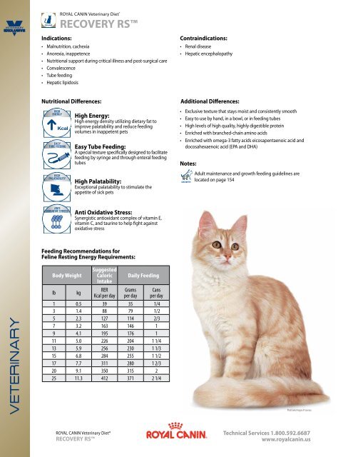 royal canin recovery rs cat food