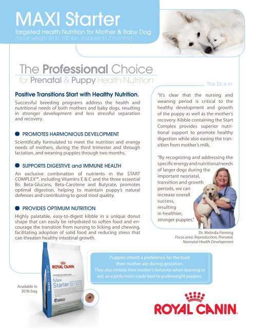 royal canin maxi starter professional