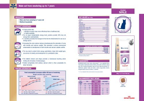 royal canin neutered male cat food