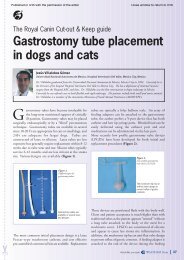Gastrostomy Tube Placement in Dogs and Cats - The Royal Canin ...