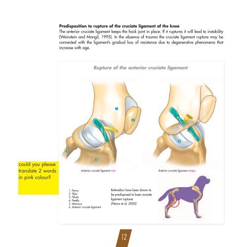 Specific breed brochure - Breed Nutrition