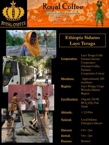 Ethiopia Sidamo Layo Teraga Cooperative - Royal Coffee, Inc.