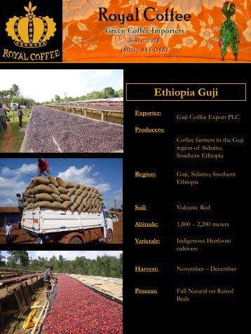 Ethiopia Guji - Royal Coffee, Inc.