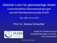 2010_12_Schlachter_DE.pdf