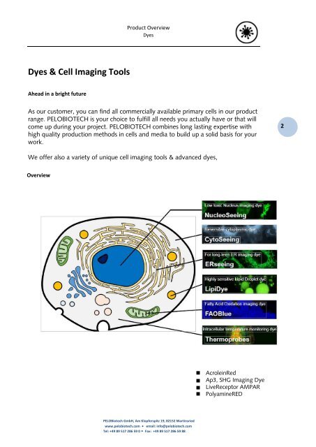 Dyes & Cell Imaging Reagents 
