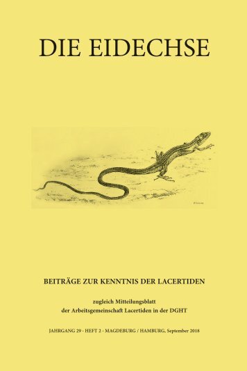 eidechse 2018_2