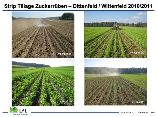 Streifenbodenbearbeitung / Strip Tillage im Mais - Bayern