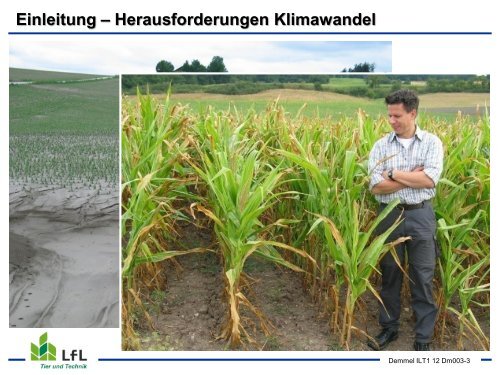 Streifenbodenbearbeitung / Strip Tillage im Mais - Bayern