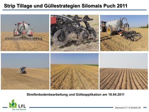 Streifenbodenbearbeitung / Strip Tillage im Mais - Bayern