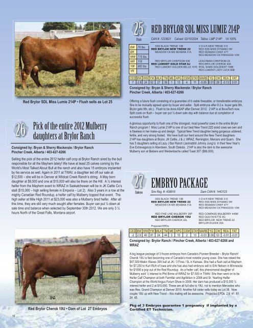 2012 Mile High Classic Red Angus Auction - National Western Stock ...