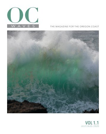 Oregon Coast Waves Vol 1.1
