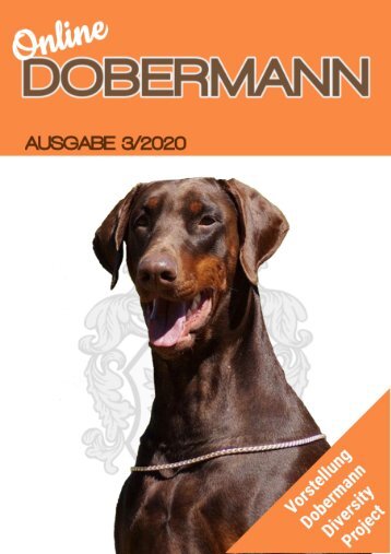 Online Dobermann Ausgabe 3