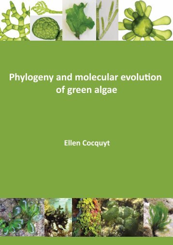 Phylogeny and molecular evolution of green algae - Phycology ...