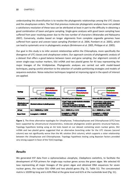 Phylogeny and molecular evolution of green algae - Phycology ...