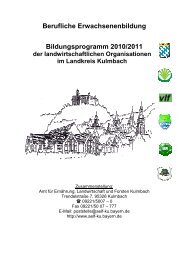 Berufliche Erwachsenenbildung Bildungsprogramm 2010/2011