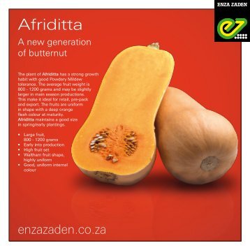 Butternut 2020
