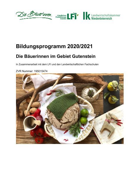 Arbeitsprogramm_Gebiet Gutenstein_2020-21