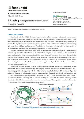 ERSeeing: FDV-0038_e_PB