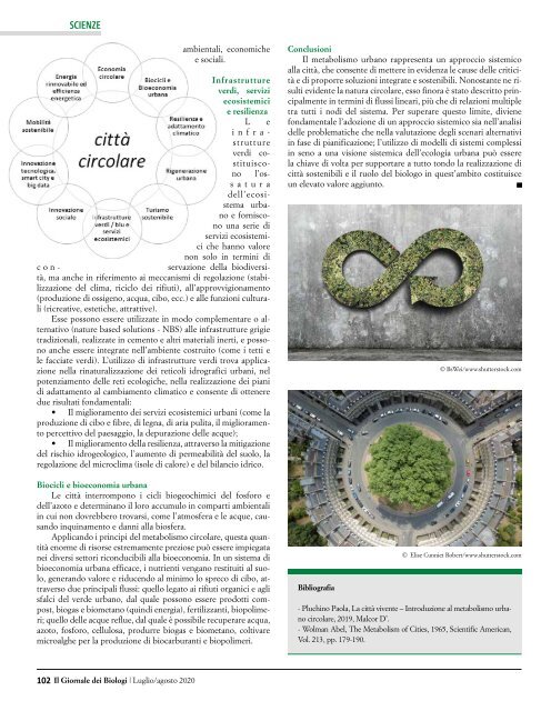 Il Giornale dei Biologi - N. 7