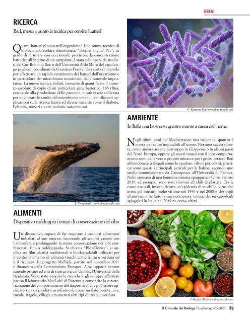 Il Giornale dei Biologi - N. 7