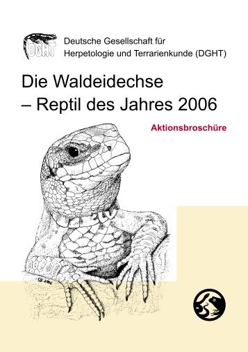 Die Waldeidechse – Reptil des Jahres 2006 - DGHT