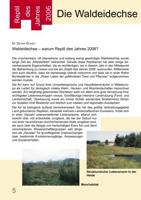 Die Waldeidechse – Reptil des Jahres 2006 - DGHT