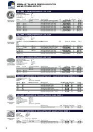 Brutto-PL 2013 1. Auflage - Rutec