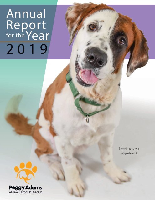 Peggy Adams Animal Rescue League 2019 Annual Report