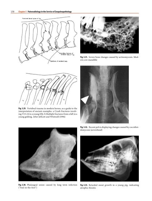 1 Paleoradiology: History and New Developments - Academia.dk