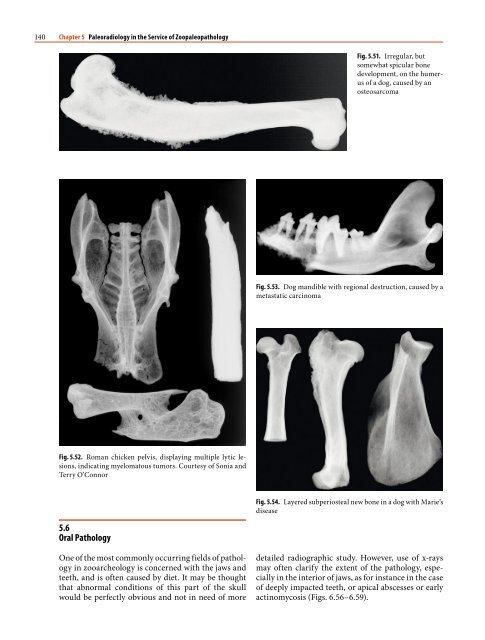 1 Paleoradiology: History and New Developments - Academia.dk