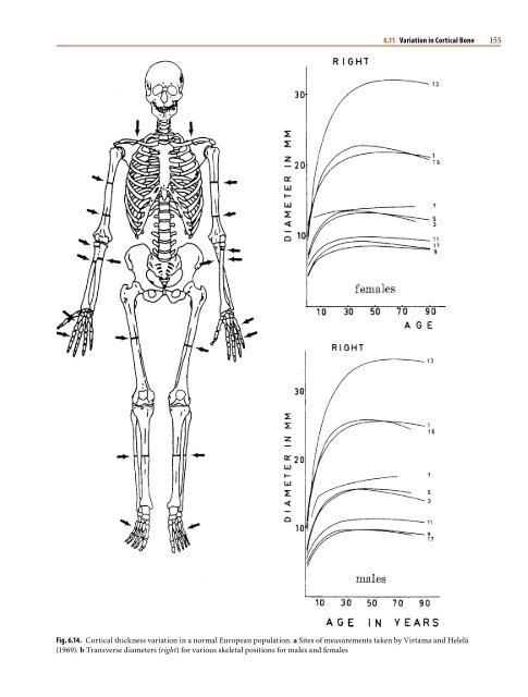 1 Paleoradiology: History and New Developments - Academia.dk